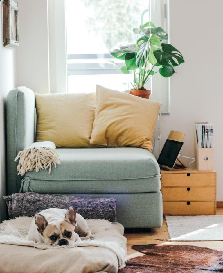 Boho living space with plants and layered textiles