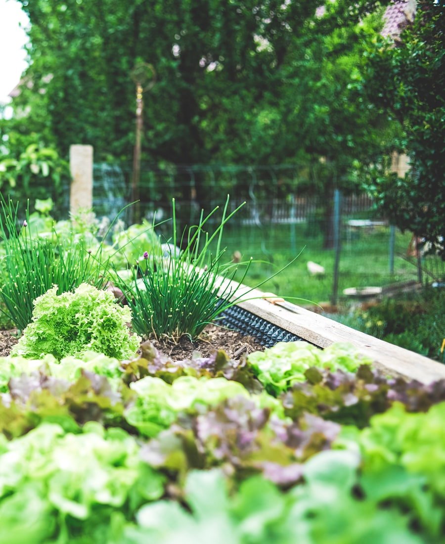 Layered green garden borders